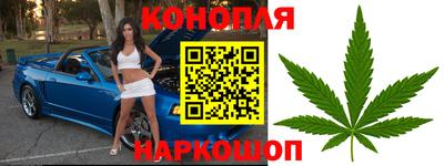 прущие крисы Азнакаево
